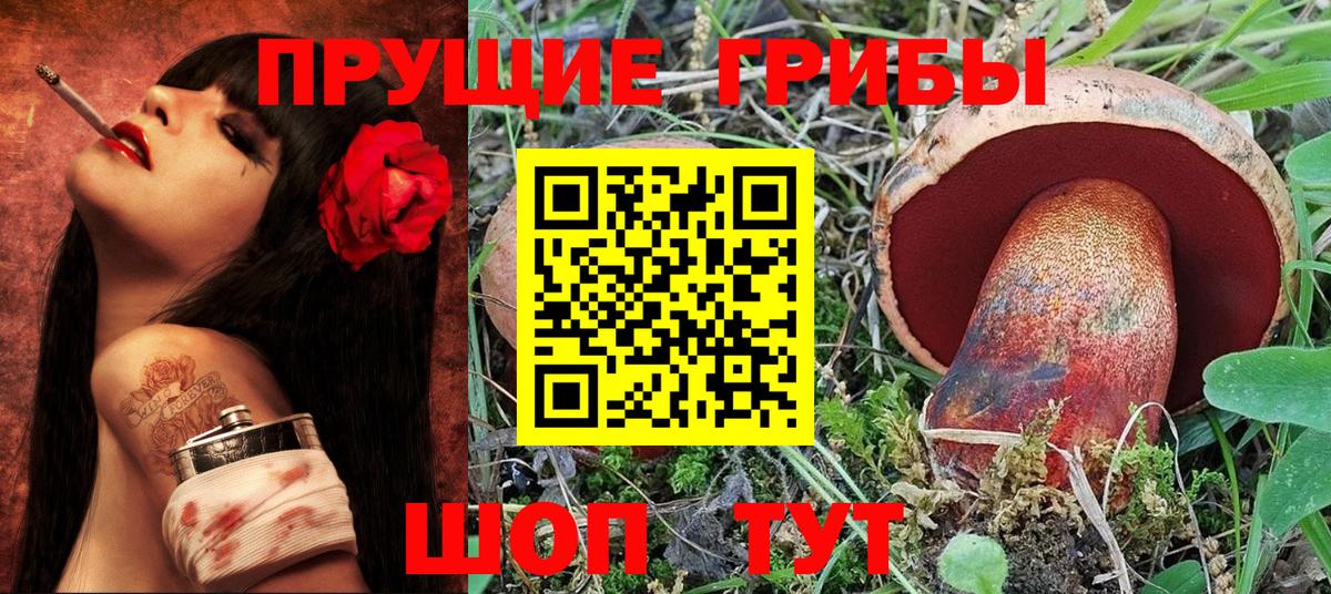 Псилоцибиновые грибы Cubensis Алатырь