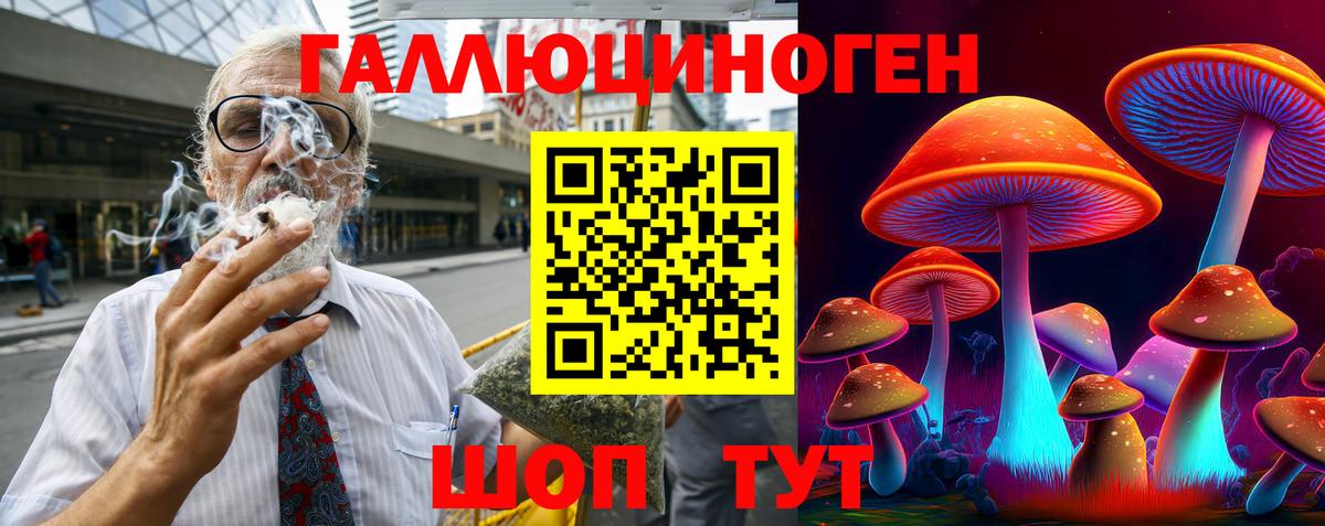 даркнет сайт  Вход с VPN  Алатырь  Псилоцибиновые грибы Cubensis 